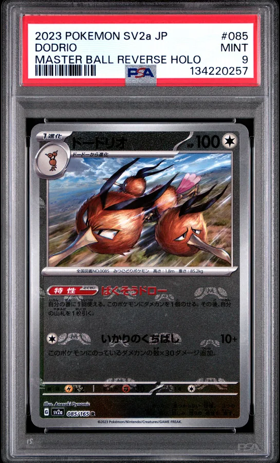 2023 #085 Dodrio Master Ball Reverse Holo PSA 9 Japanese Sv2a- 151 Pokemon